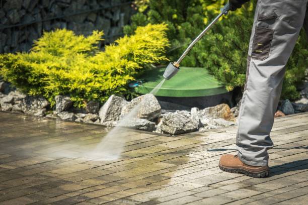 Best Dumpster Area Cleaning  in Ash Grove, MO