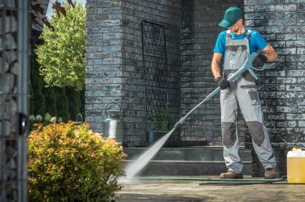 Best Solar Panel Cleaning  in Ash Grove, MO