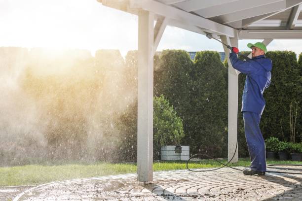 Best Animal Enclosure Cleaning  in Ash Grove, MO