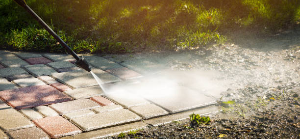 Best Fence Cleaning  in Ash Grove, MO